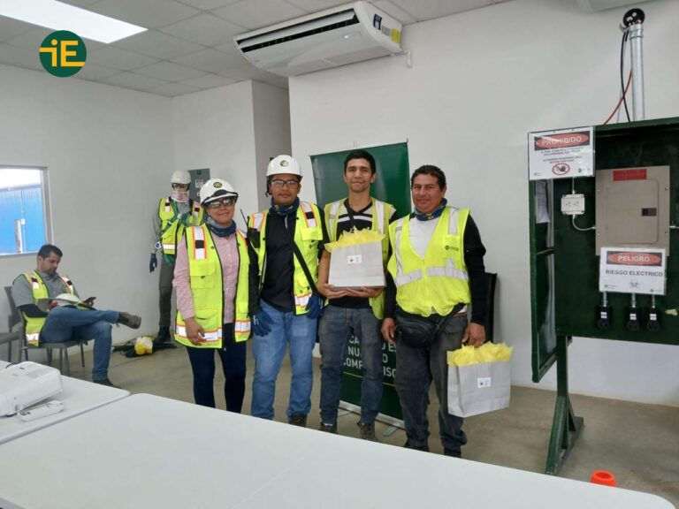 Formación directa desde la experiencia, Ingelectra